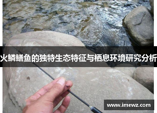 火鳞鳝鱼的独特生态特征与栖息环境研究分析