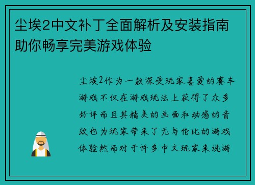 尘埃2中文补丁全面解析及安装指南 助你畅享完美游戏体验